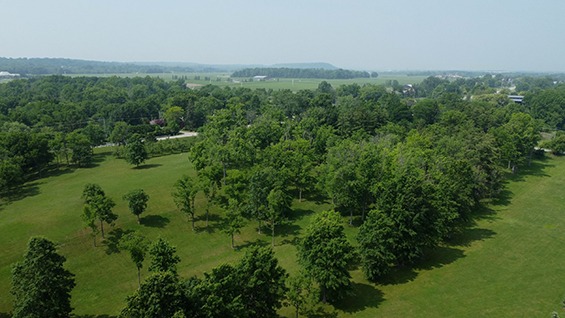 Own a Piece of Wine Country <br> $5,200,000